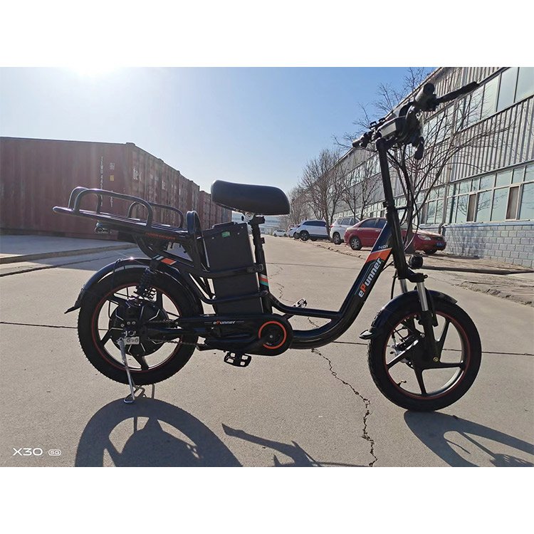 Factory Direct Wholesale 350w 48v 12Ah Drum Brake 20 Inch Tire Fat Tire E Bikes 2024 Electric Bicycle